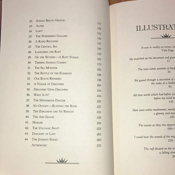 Book: A Journey to the Center of the Earth by Jules Verne - Picture 6 of 16